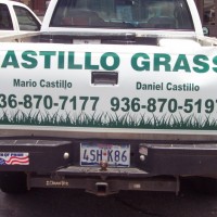 Custom Vehicle Lettering and Graphics