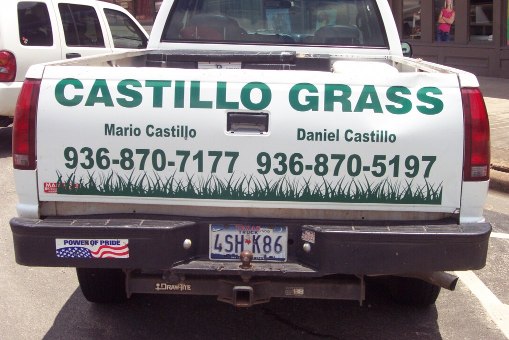 Custom vehicle lettering and graphics, Vehicle lettering and graphics, Custom graphics